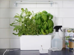 LED-Pflanzenleuchte Mit Adapter 15W (39 Cm) | Beleuchtung Von Nelson Garden -Elho Compo Geschaft 547622 LED Pflanzeneuchte mit Adapter 15W 39 cm 5564A ng 1