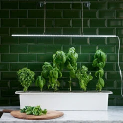 LED-Pflanzenleuchte Mit Adapter 23W (85 Cm) | Beleuchtung Von Nelson Garden 7 LED-Pflanzenleuchte Mit Adapter 23W (85 Cm) | Beleuchtung Von Nelson Garden -Elho Compo Geschaft 547623 LED Pflanzeneuchte mit Adapter 23W 85 cm 5567A ng 2