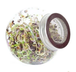 Sprossenglas (425 Ml) | Anzuchtschalen Von FLORTUS -Elho Compo Geschaft 547671 Sprossenglas 2000 0407 2