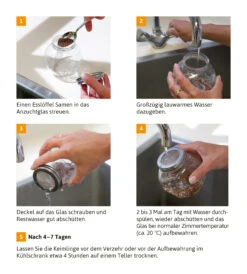 Sprossenglas (425 Ml) | Anzuchtschalen Von FLORTUS -Elho Compo Geschaft 547671 Sprossenglas 2000 0407 3