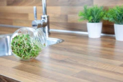 Sprossenglas (425 Ml) | Anzuchtschalen Von FLORTUS -Elho Compo Geschaft 547671 Sprossenglas 2000 0407 4