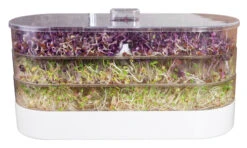 Sprossenturm | Keimgerät Von FLORTUS -Elho Compo Geschaft 547673 FLORTUS Sprossenturm 2000 0409 2