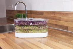 Sprossenturm | Keimgerät Von FLORTUS -Elho Compo Geschaft 547673 FLORTUS Sprossenturm 2000 0409 4