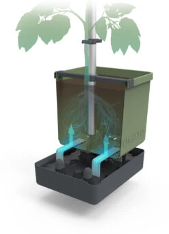 Tom Tomato Tomatentopf Dunkelgrün | Tomatentöpfe Von Gusta Garden -Elho Compo Geschaft 547958 Tom Tomato Dunkelgruen 2