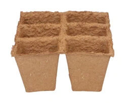 6 X 6 Cm Anzuchttopf Strips (32 Stück) | Anzuchttöpfe Von Sogo -Elho Compo Geschaft 548516 6 x 6 cm Organic Toepfe strips 32 Stueck 887312 sg 2
