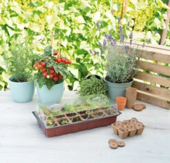 Gewächshaus (18 Töpfe) | Zimmergewächshaus Von Sogo 7 Gewächshaus (18 Töpfe) | Zimmergewächshaus Von Sogo -Elho Compo Geschaft 548523 Gewaechshaus mit 18 Toepfe 887342 sg 2