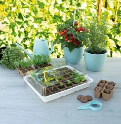 Eco Propagator (30 Töpfe) | Anzuchtschalen Von Sogo