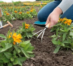 Handharke | Gartengeräte Von Sogo 8 Handharke | Gartengeräte Von Sogo -Elho Compo Geschaft 548544 Handharke 887436 sg 3