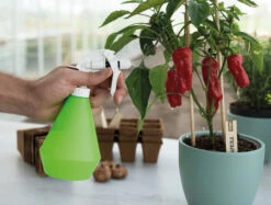 Wasserzerstäuber (0,5 L) | Gartengeräte Von Sogo -Elho Compo Geschaft 548560 0 5 L Wasserzerstaeuber 887508 sg 3