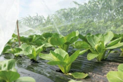 Insektennetz | Gartenzubehör Von Sogo -Elho Compo Geschaft 548563 Insektennetz 887552 sg 4