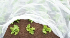 Vliestuch | Gartenzubehör Von Sogo -Elho Compo Geschaft 548564 Vliestuch 887554 sg 4