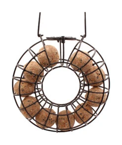 Spenderring Für Meisenknödel (unbefüllt) | Vogelfutterspender Von ReNatura -Elho Compo Geschaft 548605 Spenderring Meisenknoedel unbefuellt 55985 ff 1