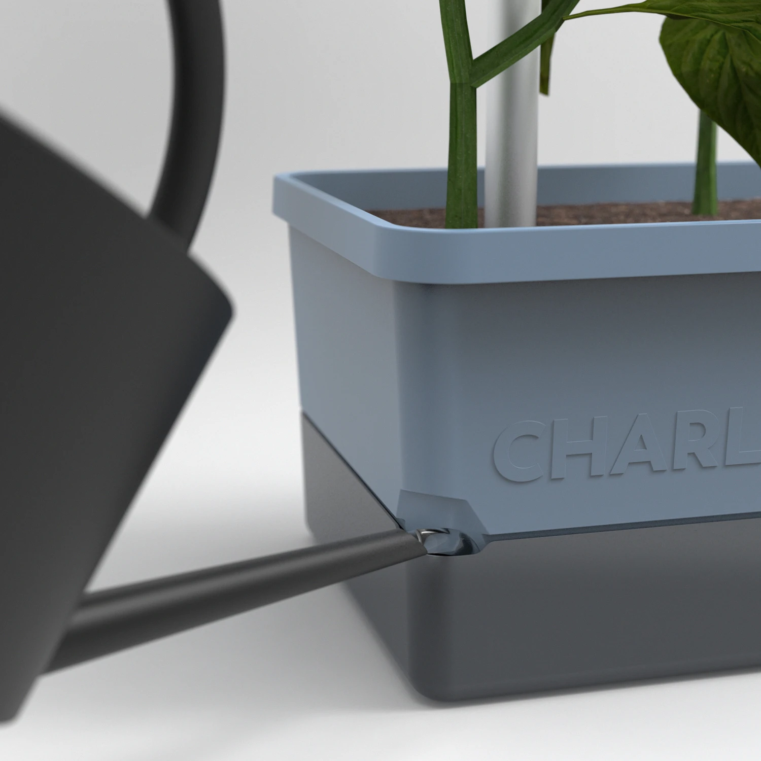 Charly Chili Chilitopf Blau | Chilitöpfe Von Gusta Garden 5 Charly Chili Chilitopf Blau | Chilitöpfe Von Gusta Garden – Bild 3