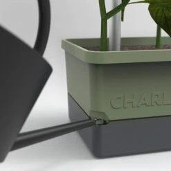 Charly Chili Chilitopf Dunkelgrün | Chilitöpfe Von Gusta Garden