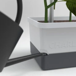 Charly Chili Chilitopf Hellgrau | Chilitöpfe Von Gusta Garden -Elho Compo Geschaft 548628 Charly Chili Chilitopf hellgrau 100710 gg 3