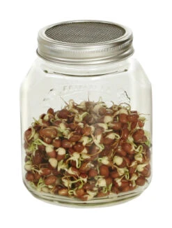 Sprossenglas (1000 Ml) | Sprossengläser Von Eschenfelder