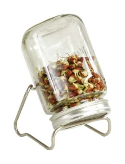 Sprossenglas-Set I (1000 Ml) | Sprossengläser Von Eschenfelder