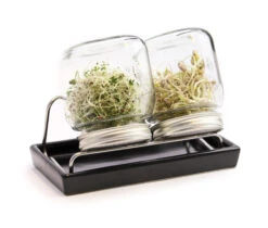 Sprossenglas-System II Anthrazit (750 Ml) | Sprossengläser Von Eschenfelder