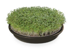 Kressesieb Anthrazit (21,5 Cm) | Sprossensiebe Von Eschenfelder