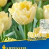 Gefüllte Frühe Tulpe Verona (10 Stück) | Tulpenzwiebeln Von Kiepenkerl 1 Gefüllte Frühe Tulpe Verona (10 Stück) | Tulpenzwiebeln Von Kiepenkerl -Elho Compo Geschaft 549341 Gefuellte fruehe Tulpe Verona 10 Stueck 504615 0
