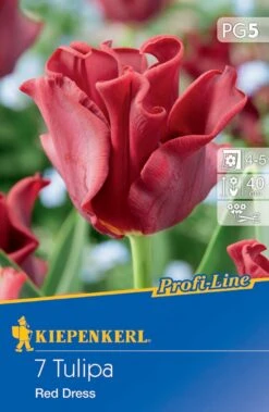 Kronentulpe Red Dress (7 Stück) | Tulpenzwiebeln Von Kiepenkerl -Elho Compo Geschaft 549343 Kronentulpe Red Dress 7 Stueck 504653 0