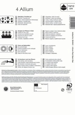 Zierlauch Red Giant Star (4 Stück) | Alliumzwiebeln Von Kiepenkerl -Elho Compo Geschaft 549348 Zierlauch Red Giant Star 4 Stueck 504943 1