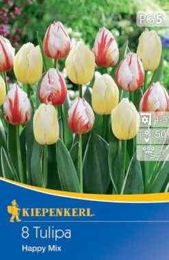 Triumphtulpe Happy Mischung (8 Stück) | Tulpenzwiebeln Von Kiepenkerl