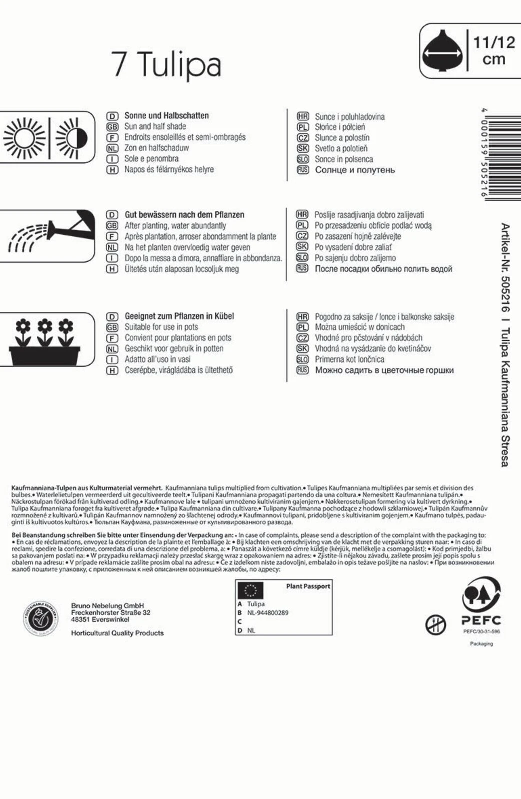 Kaufmanniana-Tulpe Stresa (7 Stück) | Tulpenzwiebeln Von Kiepenkerl 3 Kaufmanniana-Tulpe Stresa (7 Stück) | Tulpenzwiebeln Von Kiepenkerl