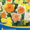 Narzissenmischung Orchideenblütige Mischung (5 Stück) | Narzissenzwiebeln Von Kiepenkerl -Elho Compo Geschaft 549376 Narzissenmischung Orchideenbluetige Mischung 5 Stueck 505766 0