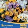 Mega-Pack Wildkrokusmischung (40 Stück) | Krokuszwiebeln Von Kiepenkerl -Elho Compo Geschaft 549385 Mega Pack Wildkrokusmischung 40 Stueck 509153 0