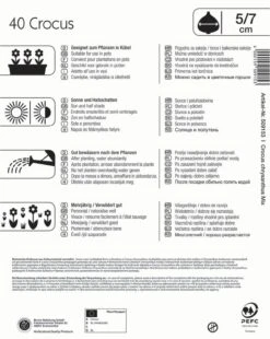 Mega-Pack Wildkrokusmischung (40 Stück) | Krokuszwiebeln Von Kiepenkerl -Elho Compo Geschaft 549385 Mega Pack Wildkrokusmischung 40 Stueck 509153 1