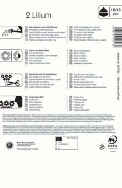 Lilien-Hybride Friso (2 Stück) | Lilienzwiebeln Von Kiepenkerl -Elho Compo Geschaft 549388 Lilien Hybride Friso 2 Stueck 507234 1