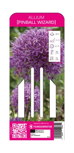 Zierlauch Pinball Wizard (1 Stück) | Zierlauch Von Young Generation
