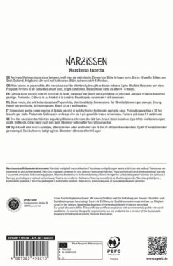 Narzisse Ziva (5 Stück) | Narzissenzwiebeln Von Sperli -Elho Compo Geschaft 549460 Narzisse Ziva 5 Stueck 458213 1