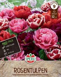 Rosentulpen Mischung (12 Stück) | Tulpenzwiebeln Von Sperli