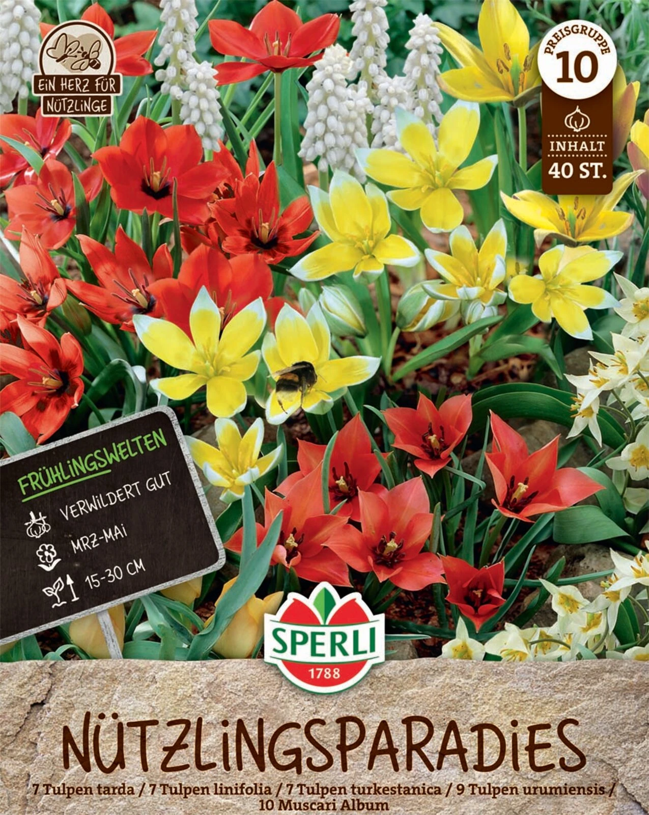 Frühlingsgarten Nützlingsparadies (40 Stück) | Blumenzwiebelmischungen Von Sperli 3 Frühlingsgarten Nützlingsparadies (40 Stück) | Blumenzwiebelmischungen Von Sperli