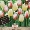 Frühlingsgarten Happy Mix (12 Stück) | Triumph-Tulpen Von Sperli -Elho Compo Geschaft 549480 Fruehlingsgarten Happy Mix 12 Stueck 464344 0
