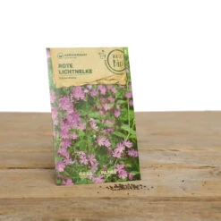 Wildblumen Set Stay Wild | BIO Wildblumensamen Von Samen Maier 11 Wildblumen Set Stay Wild | BIO Wildblumensamen Von Samen Maier -Elho Compo Geschaft 549603 BIO Wildblumen Set Stay Wild A02 sm 1