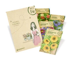 Blumen Set Bibi Balkonessa | BIO Blumensamen-Sets Von Samen Maier [MHD 12/2023]