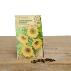 Blumen Set Bibi Balkonessa | BIO Blumensamen-Sets Von Samen Maier [MHD 12/2023] -Elho Compo Geschaft 549604 BIO Blumen Set Bibi Balkonessa A03 sm 2