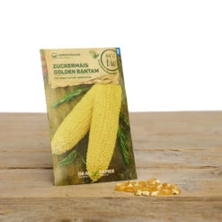 Bauerngarten Set Gitti Gartenschlau | BIO Gemüsesamen-Sets Von Samen Maier -Elho Compo Geschaft 549608 BIO Bauerngarten Set Gitti Gartenschlau A07 sm 4