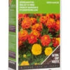 Gründünger Tagetes (50 G) | Gründünger Von Buzzy Seeds -Elho Compo Geschaft 549686 Gruenduenger Tagetes 50 g 881545 by 0
