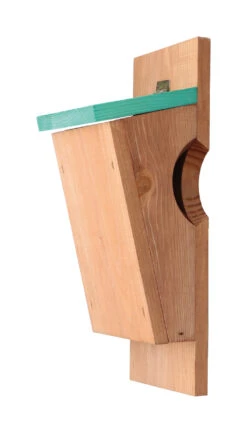 Nistkasten Baumläufer | Vogelhäuser Von Bûten Birds