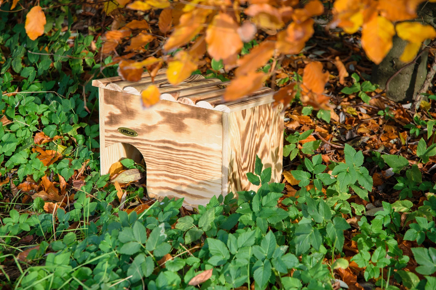 Igelhaus Geflammt (Bausatz) | Nisthilfen Von Dobar 3 Igelhaus Geflammt (Bausatz) | Nisthilfen Von Dobar