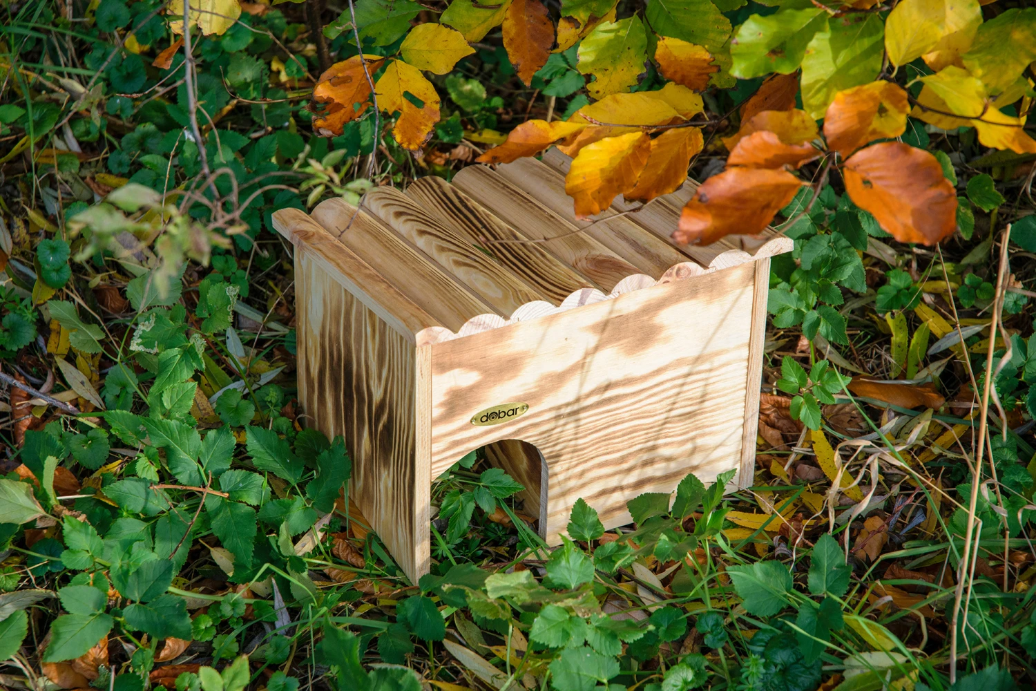 Igelhaus Geflammt (Bausatz) | Nisthilfen Von Dobar 6 Igelhaus Geflammt (Bausatz) | Nisthilfen Von Dobar – Bild 4