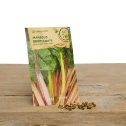 Gewächshaus Set Albert Pflanzfein | BIO Gemüsesamen-Sets Von Samen Maier -Elho Compo Geschaft 550509 BIO Gewaechshaus Set Albert Pflanzfein A08 sm 1