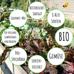 Gourmetgarten 8 Alte Sorten Set | BIO Gemüsesamen-Sets Von Biobalu -Elho Compo Geschaft 550615 BIO Gourmetgarten 8 Alte Sorten Set BB1009 4