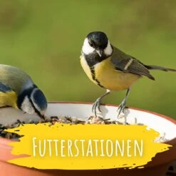 Wildvogel Futter (2 Kg) | BIO Vogelfutter Von Biobalu -Elho Compo Geschaft 550628 BIO Wildvogel Futter 2 kg BB1019 5