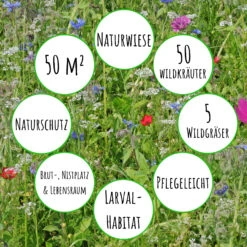 Bienenweide Mit Wildgräsern (Naturwiese) | Bienenwiese Von Biobalu -Elho Compo Geschaft 550629 Bienenweide mit Wildgraesern Naturwiese BB1016 3