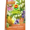 Mediterrane Pflanzen Langzeit-Dünger (1,5 Kg) | Dünger Von COMPO -Elho Compo Geschaft 551053 mediterrane Pflanzen Langzeit Duenger 1 5 kg 2589702004 co 0
